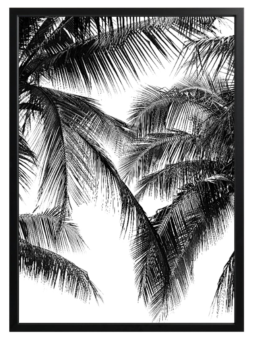 Black & White Palms Print