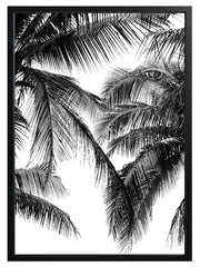 Black & White Palms Print